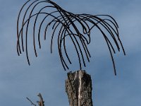 Kunstausstellung des Jockgrimer Künstlers Hannes Metz im Garten der Familie Pfiester. Mehr auf: www.hannes-metz.de Datei: 2018 09 08-17 12 56 : VERWENDUNG